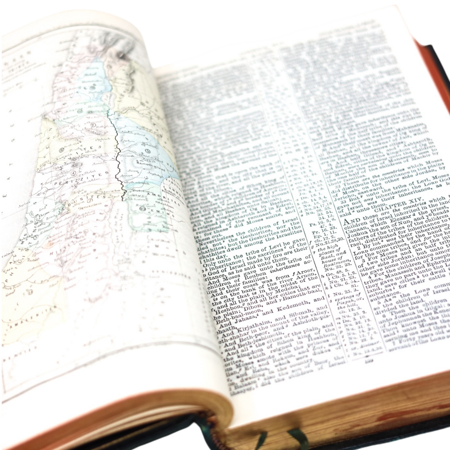 The English Version of the Polyglot Bible